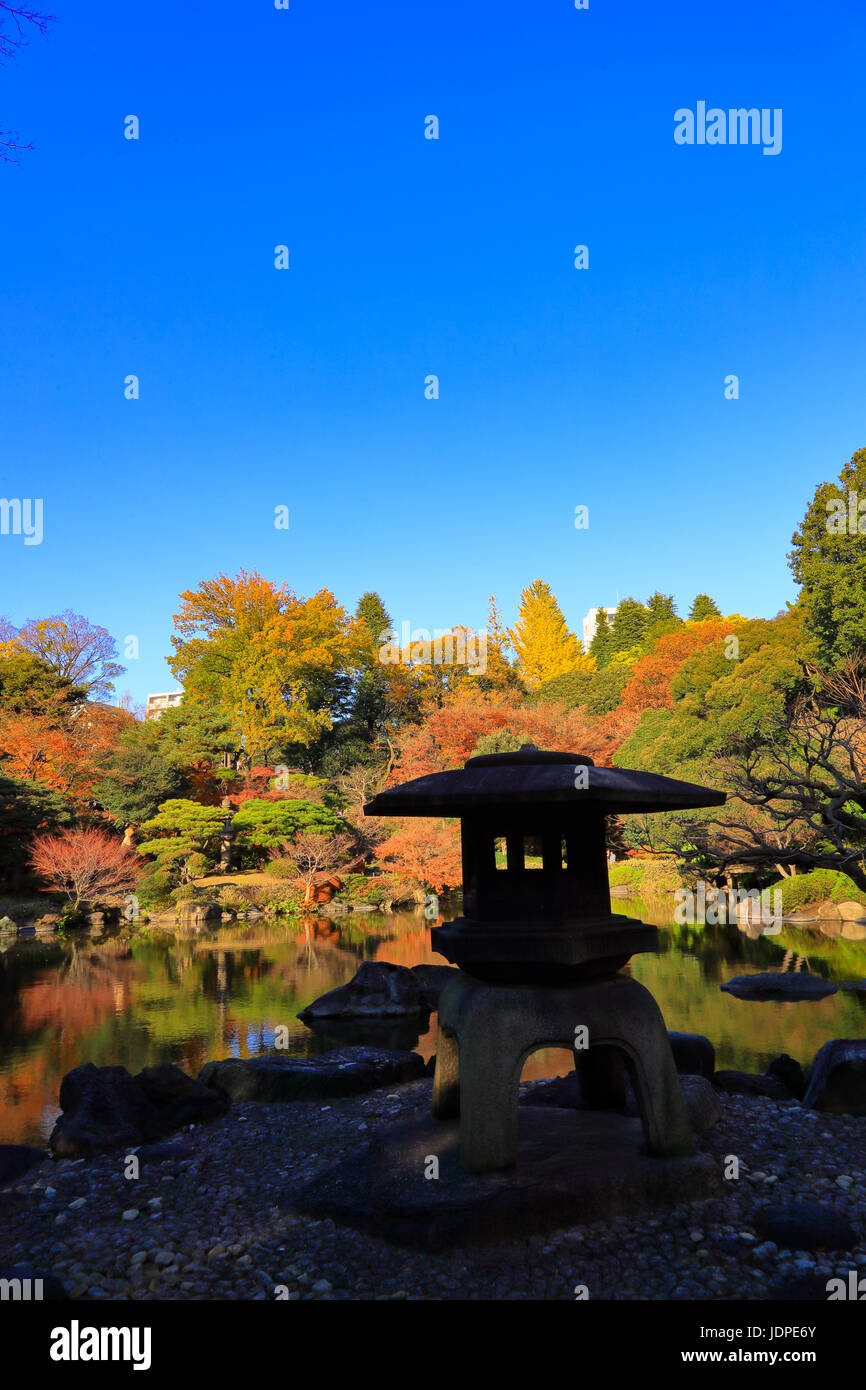 Herbst geht in eine Stadt Park DowntownTokyo, Japan Stockfoto