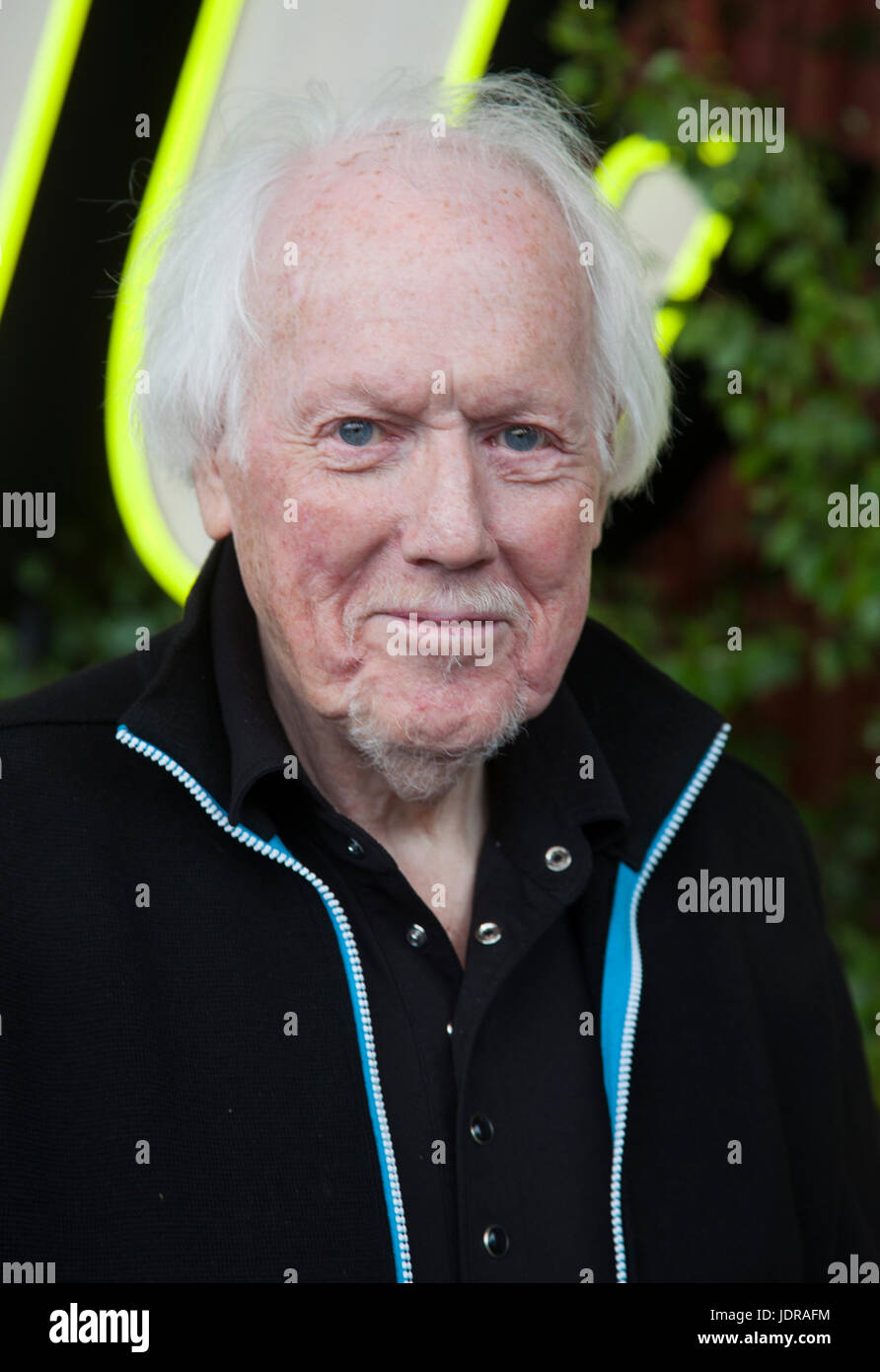 SVANTE THURESSON schwedische Sängerin und Musikerin 2017 Stockfoto