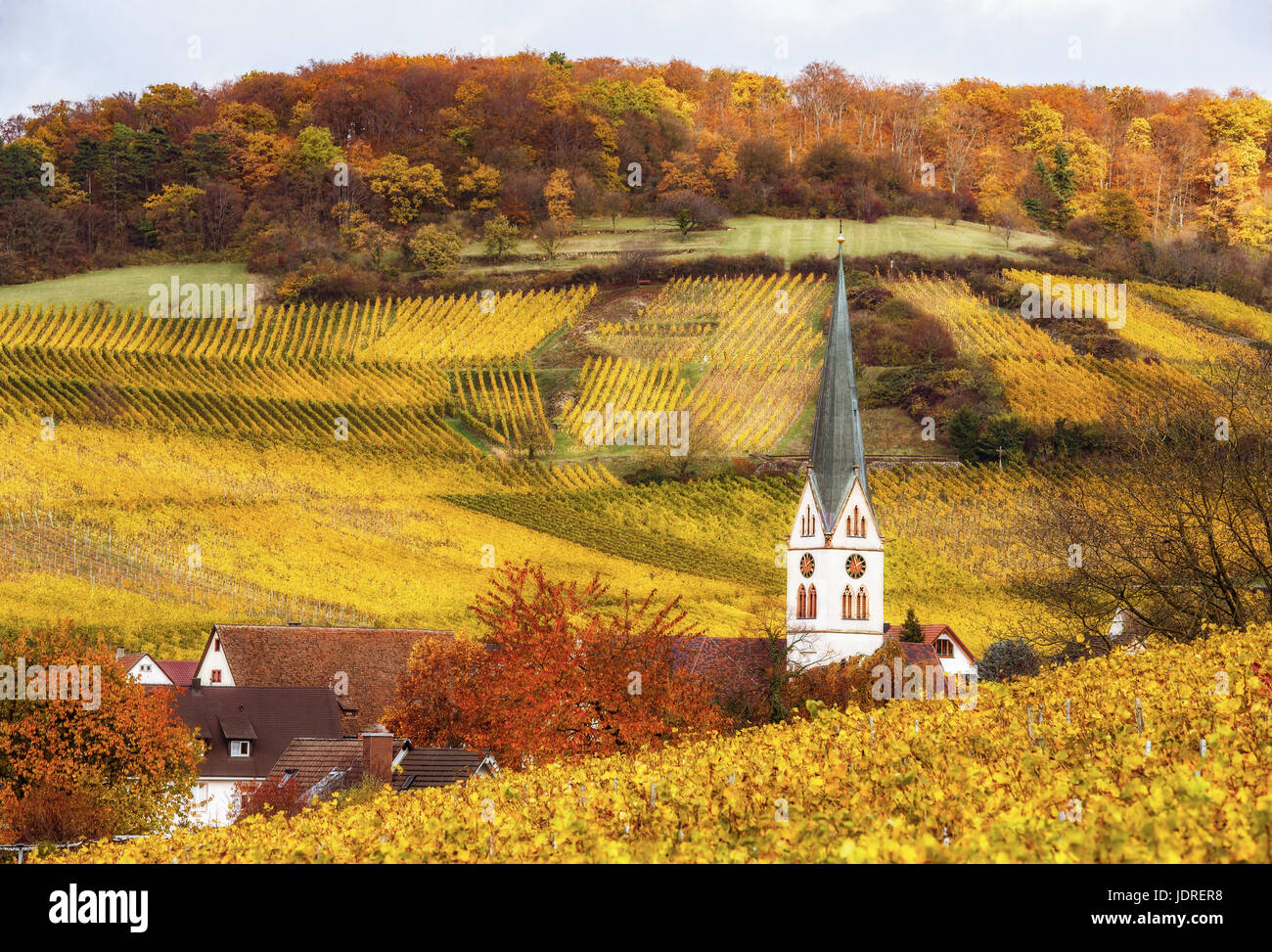 Malerischer Herbst Landschaft Panorama. Bunten Weinbergen und historischen Dorf mit alten Kirche. Schwarzwald, Deutschland. Stockfoto