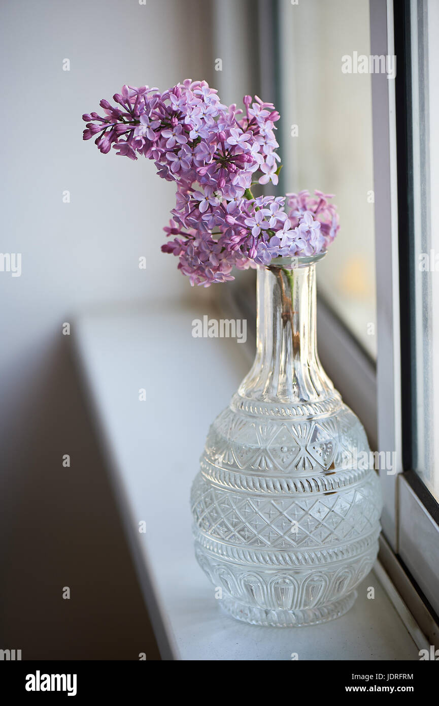 Minimalistische Bild. Zweig der Flieder in einem Glas Kristall Dekanter. Einfache und saubere Stockfoto