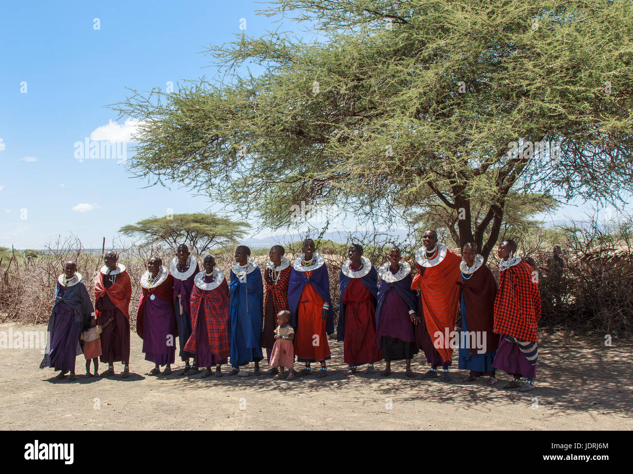 Masai Frauen in der Tracht der Gesang Stockfoto