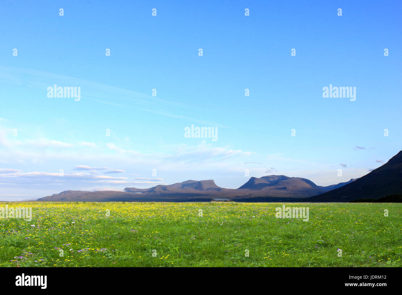 Blumige wiesen diese Seite eine Bergkette. Sommer nach Norden, blauer Himmel. Stockfoto