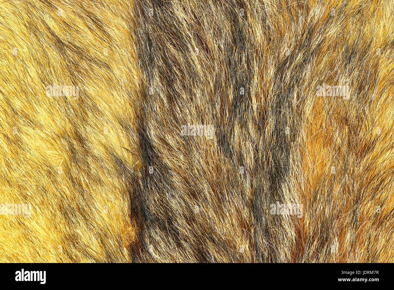 Detail der eurasische Luchs Leder bereit für Ihr Design, Nahaufnahme von strukturierten Muster aus Tierhaut Stockfoto