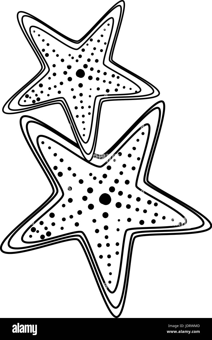 isolierte zwei Seesternen Symbol Vektor-Grafik illustration Stock Vektor