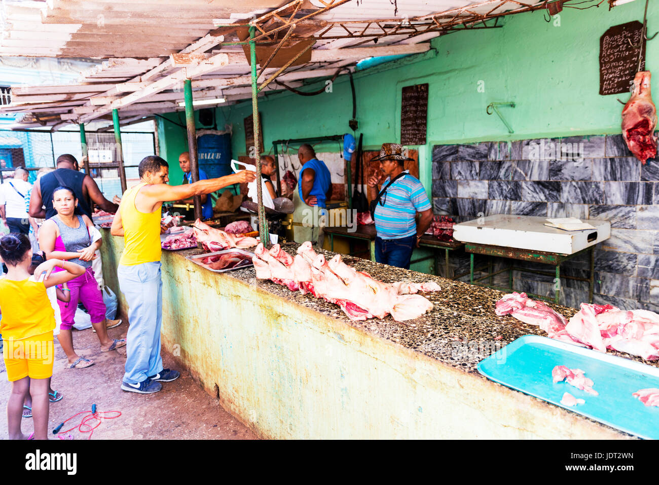 Havanna-Fleischmarkt, Schweine Köpfe, Schweine-Kopf, kubanische Fleischmarkt, Schweinefleisch Marktstand, Schwein Produkte, Kuba Fleischmarkt, außen, Kuba, Tote Schweine, Schweine, Schweinefleisch Stockfoto