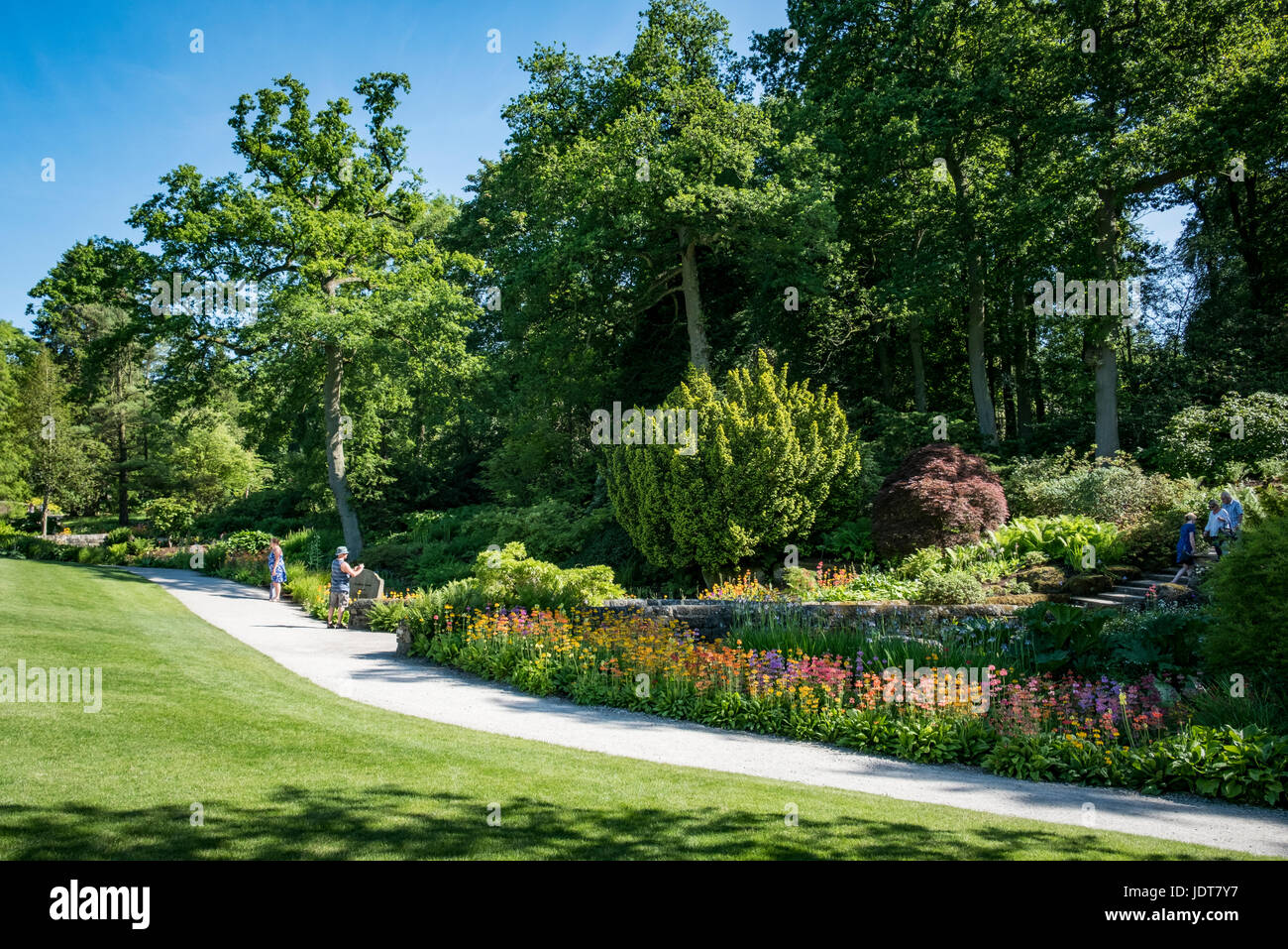 Schönen Sommertag in Harlow Carr Gardens in Harrogate, North Yorkshire. Stockfoto