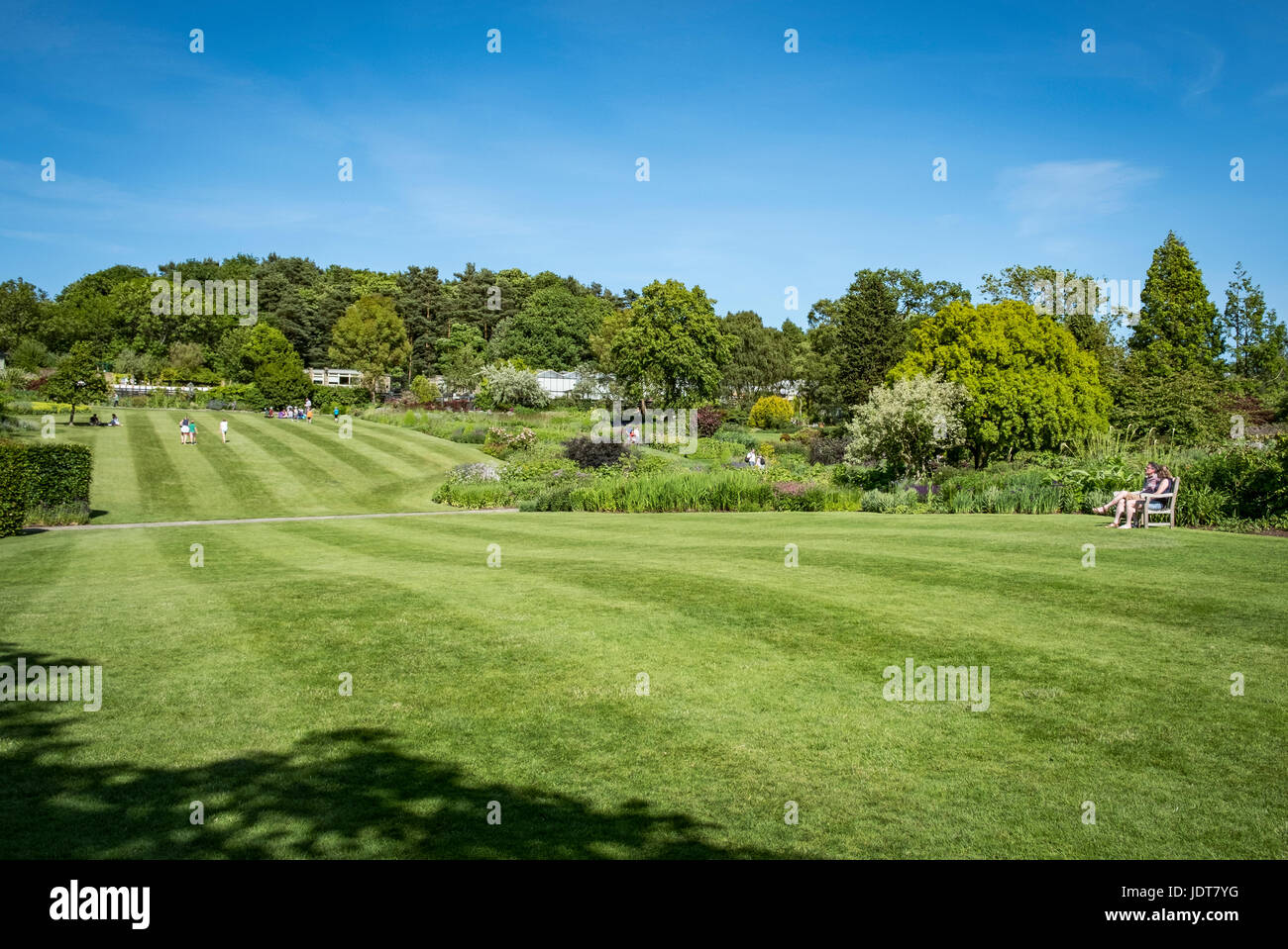 Schönen Sommertag in Harlow Carr Gardens in Harrogate, North Yorkshire. Stockfoto