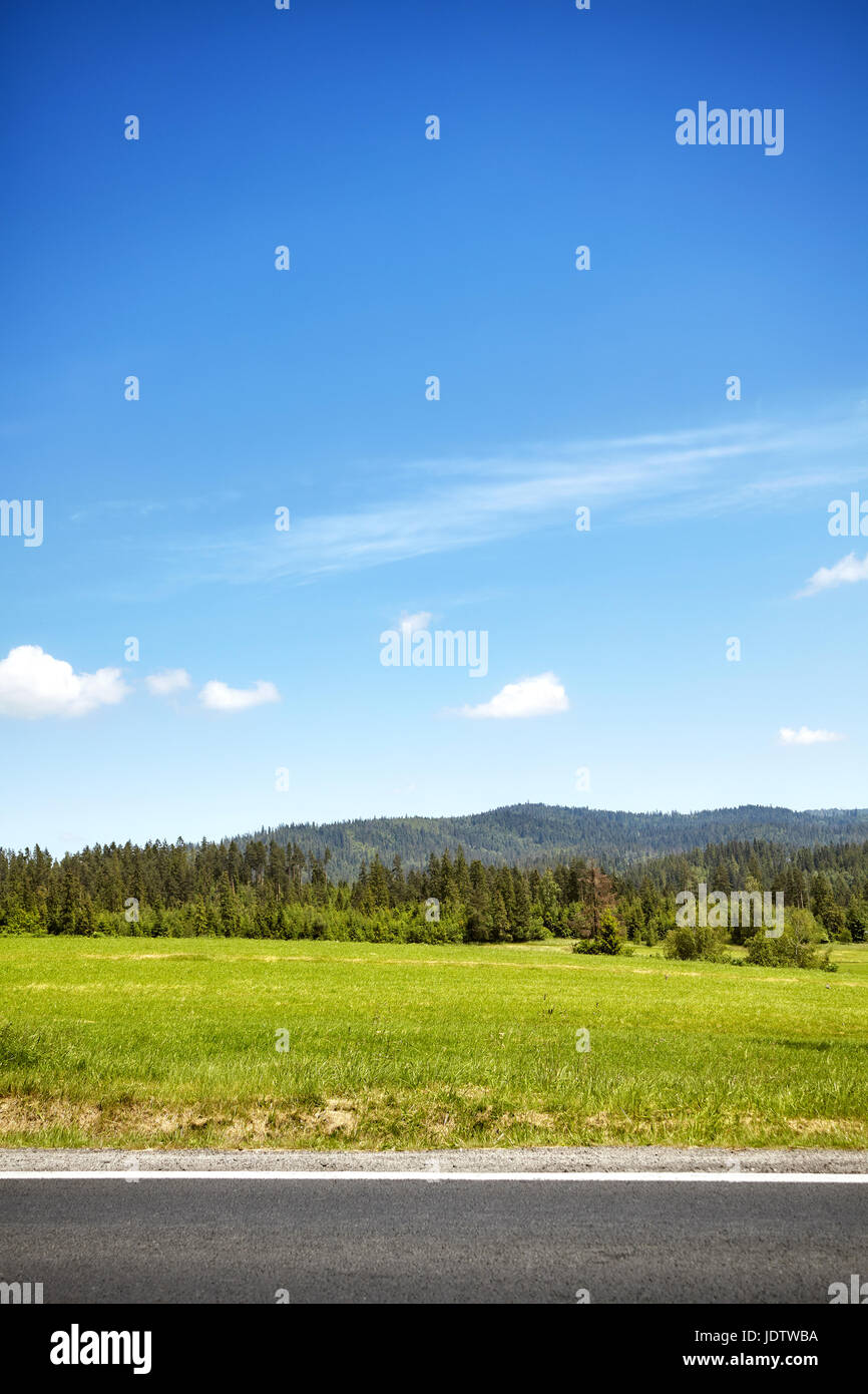 Grünen Wiese durch eine Straße mit blauen Himmel und den Bergwald in der Ferne. Stockfoto