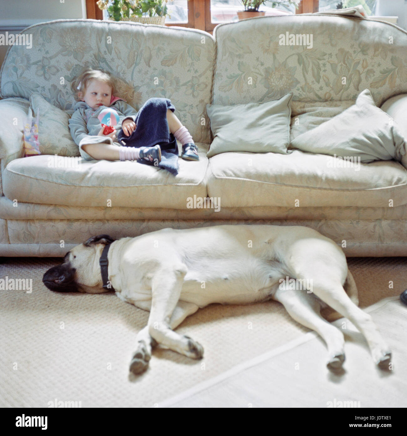 Kleines Mädchen auf der Couch neben großer Hund Stockfoto