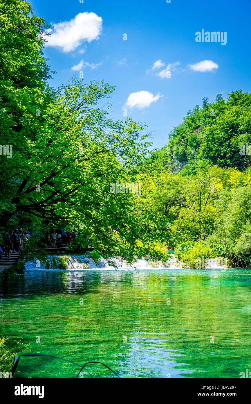 Einer der vielen Wasserfälle im Nationalpark Plitvicer Seen Stockfoto