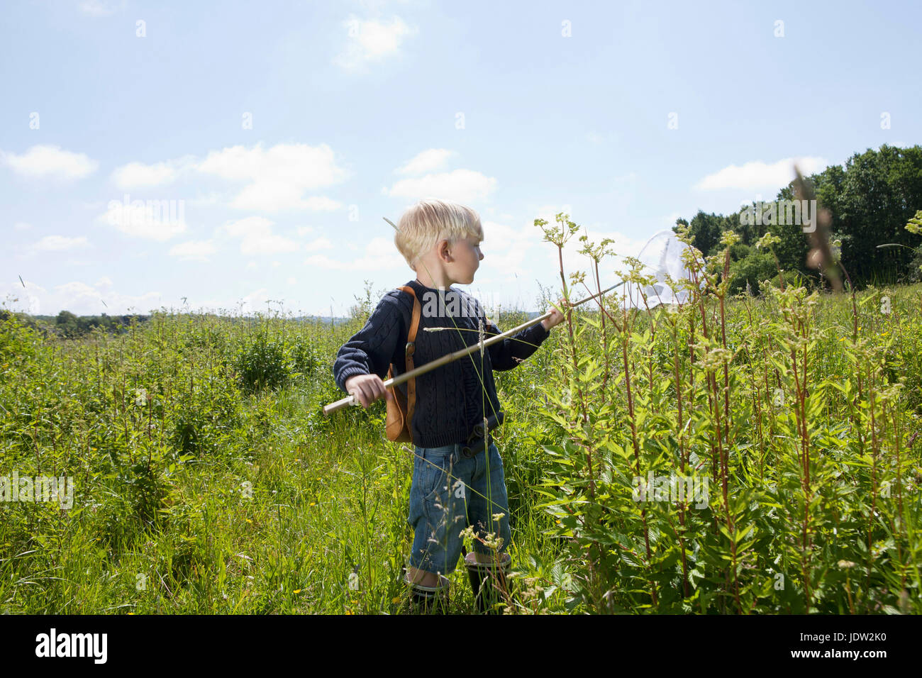 Junge im Feld hohem Gras Stockfoto