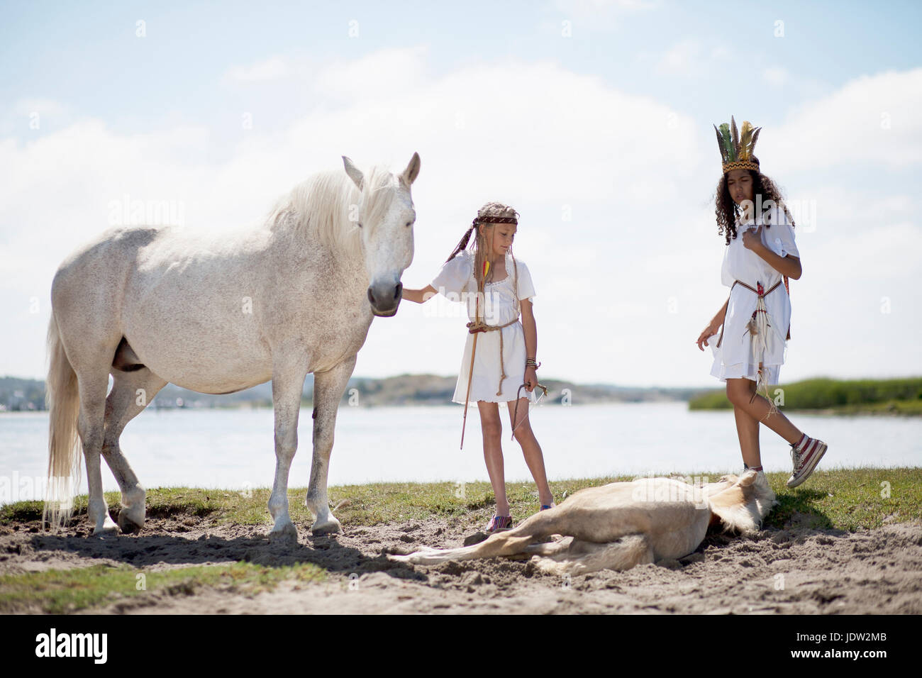 Immer Ruhig Mit Den Jungen Pferden www.alamy.de