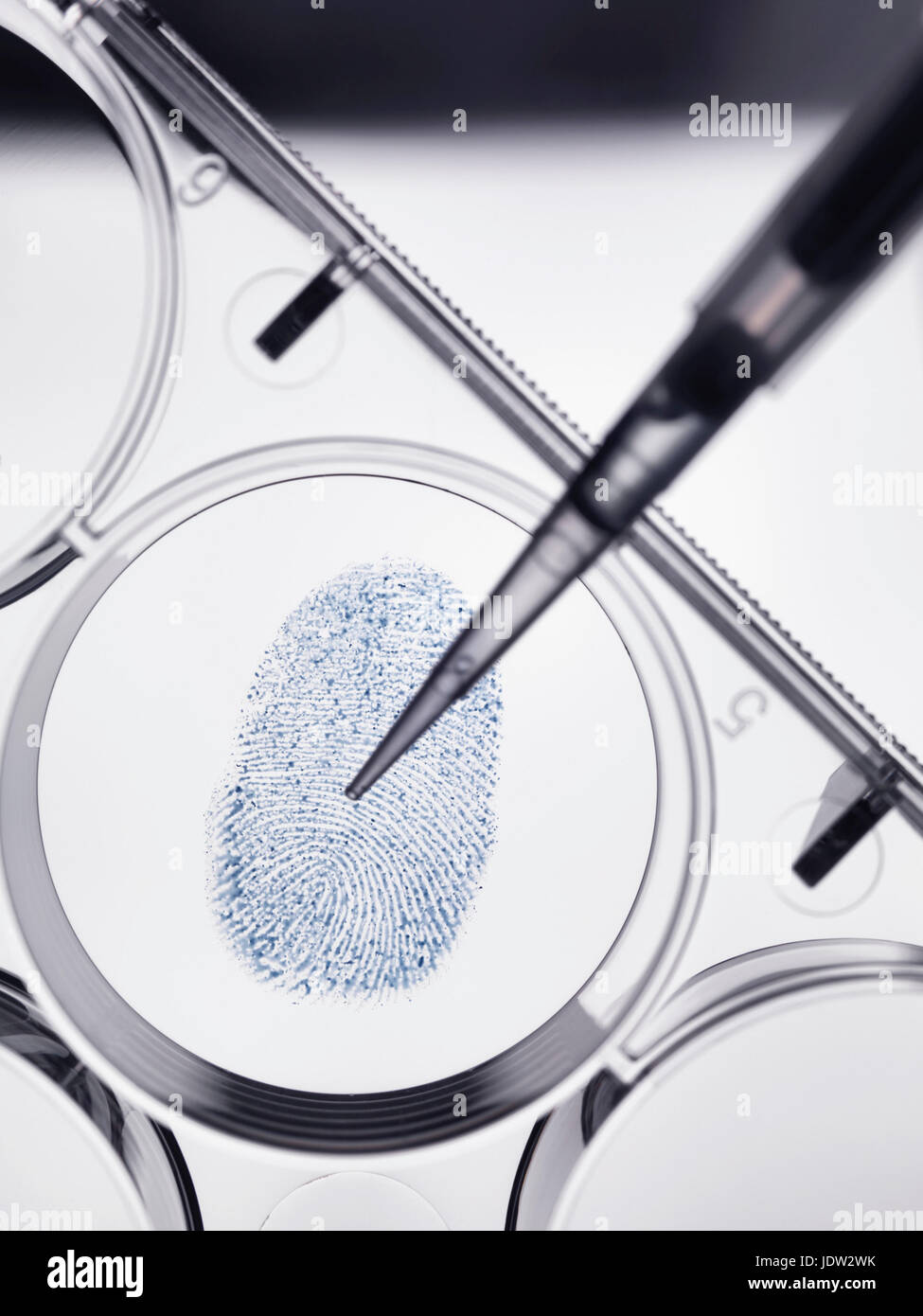 Pipette Probenahme Fingerabdruck im Labor Stockfoto