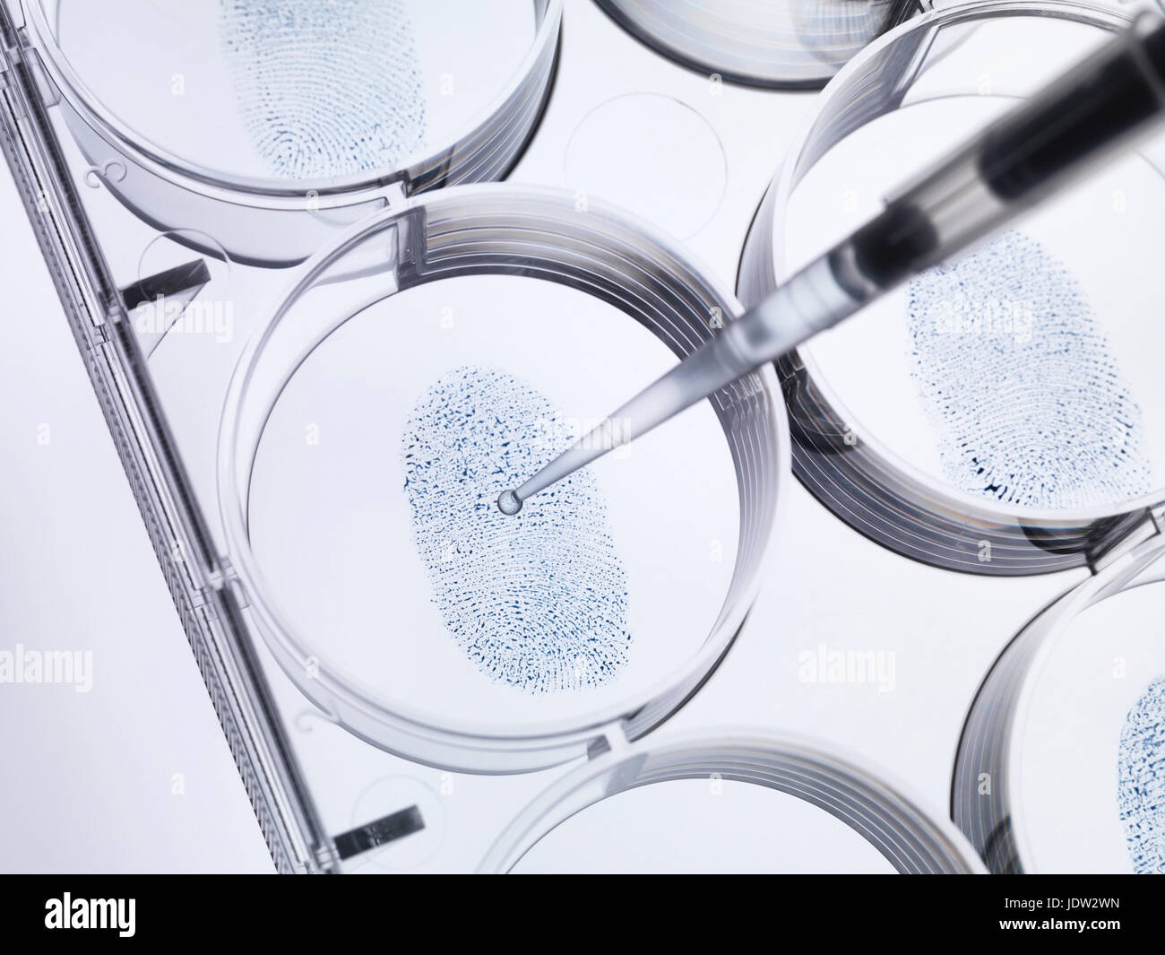 Pipette Probenahme Fingerabdruck im Labor Stockfoto