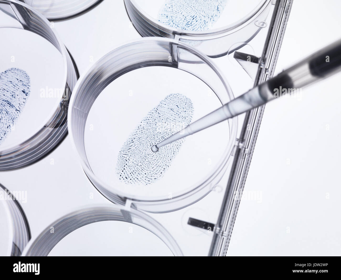 Pipette Probenahme Fingerabdruck im Labor Stockfoto