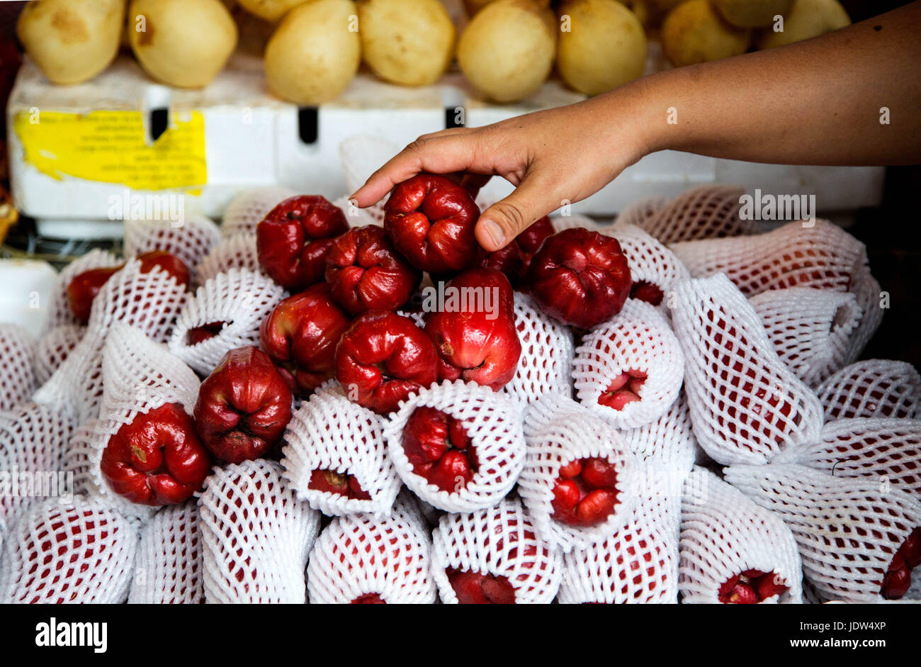Java Apfel (Syzygium Samarangense) ausgewählt wird, an einem Marktstand in Malaysia Stockfoto
