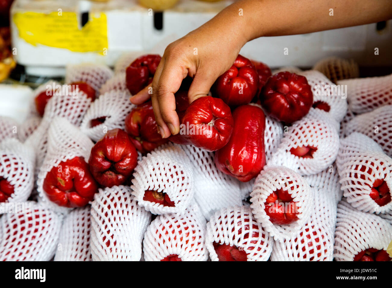 Java Apfel (Syzygium Samarangense) ausgewählt wird, an einem Marktstand in Malaysia Stockfoto