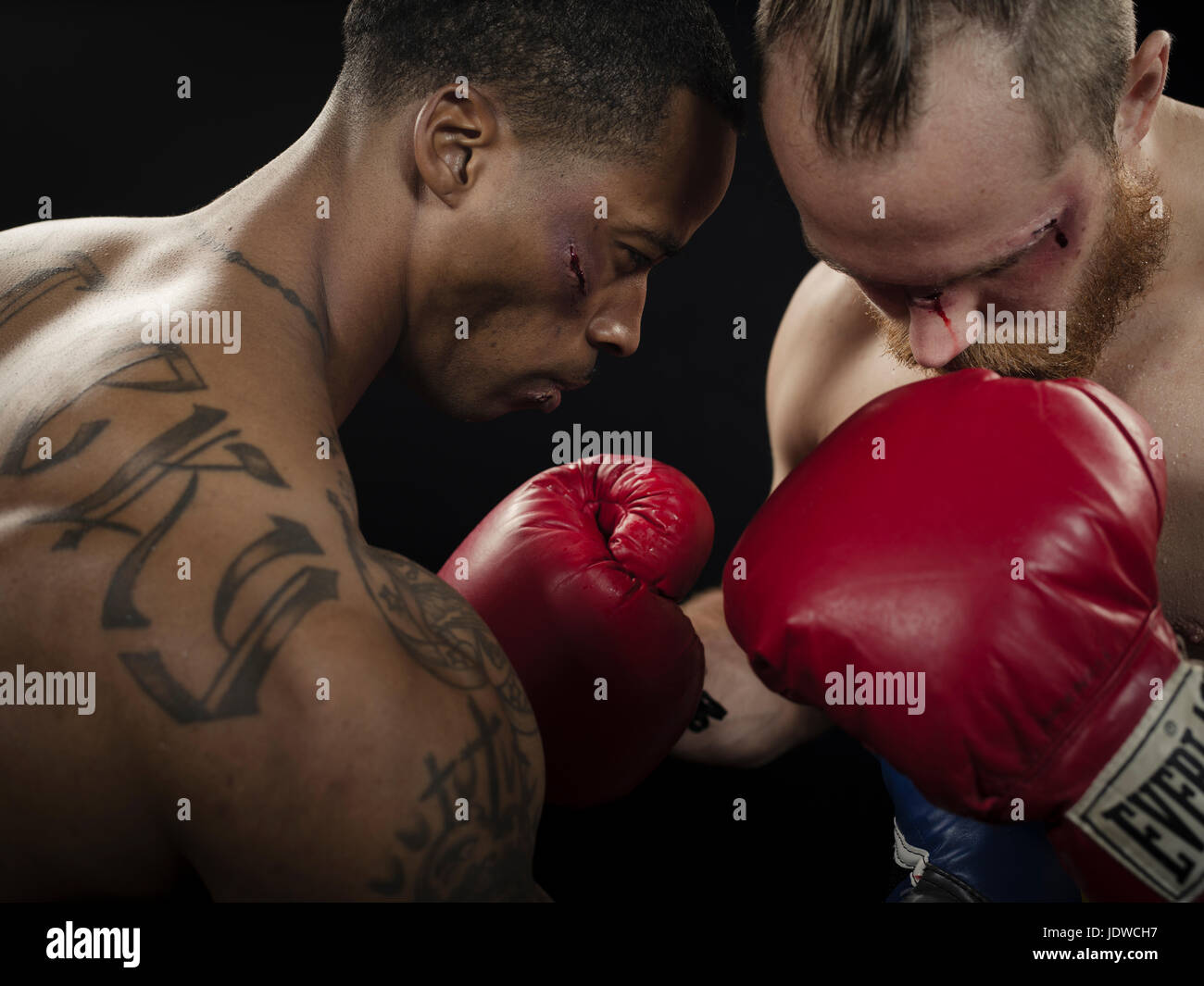 Boxer / Kämpfer Stockfoto