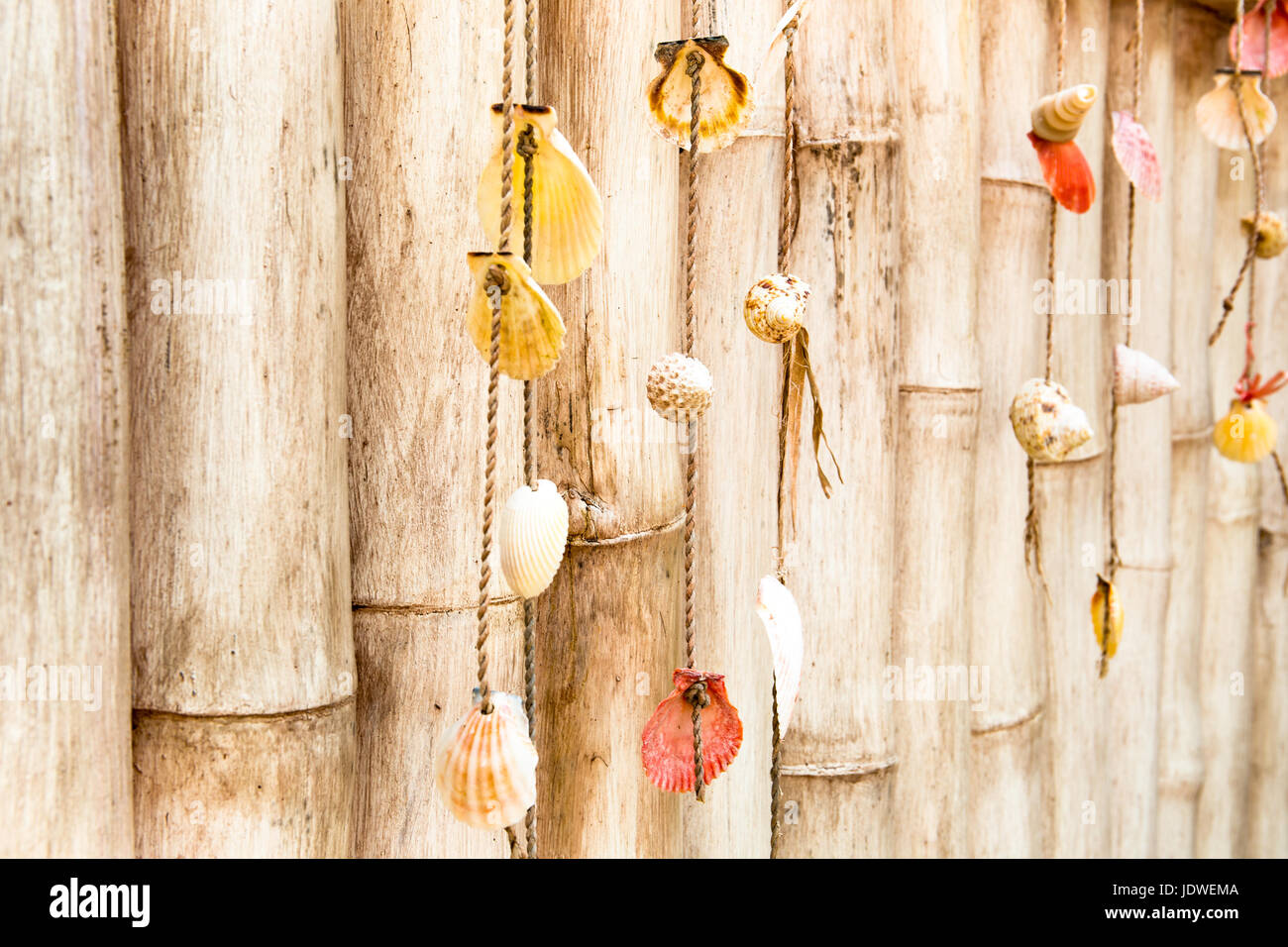 Sammlung von Muscheln auf Bambus Wand im Vintage-Stil Stockfoto