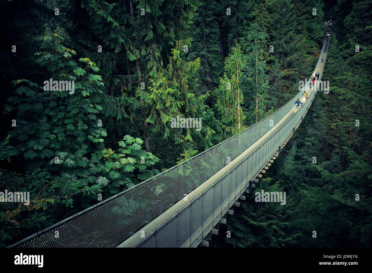 Capilano Suspension Bridge in Vancouver, Kanada. Stockfoto