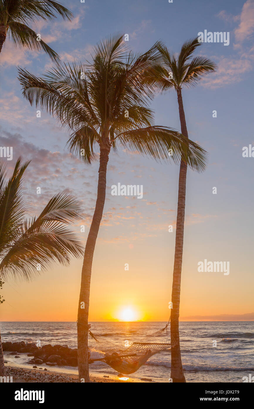 Person zum Entspannen in der Hängematte zwischen zwei Silhouette Palmen an einem Strand in Hawaii bei Sonnenuntergang Stockfoto