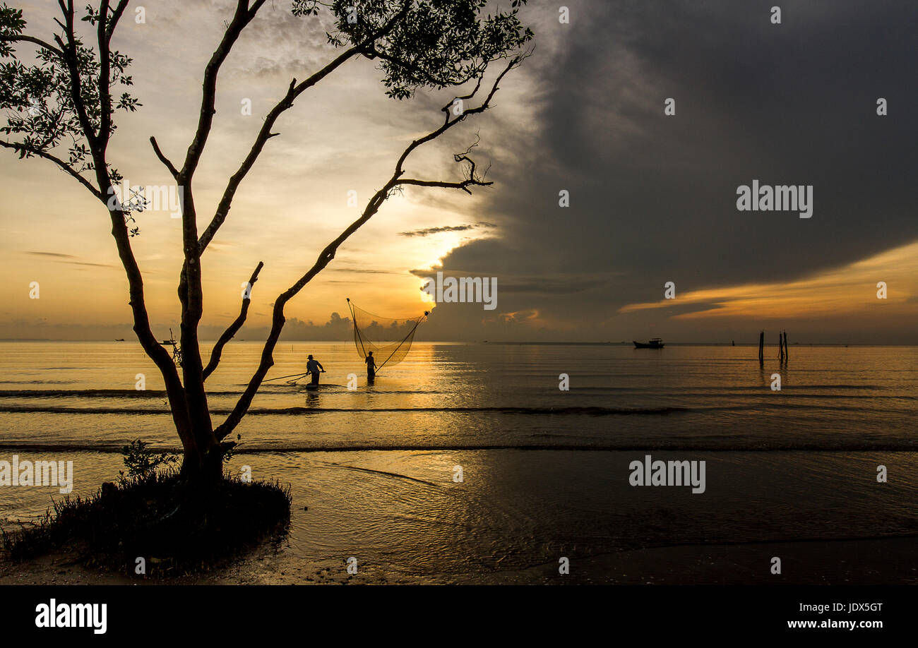 Fischern, einsame Baum goldenen Sonnenaufgang net Tan Thanh Strand gehen Cong Tien Giang Viet Nam Stockfoto