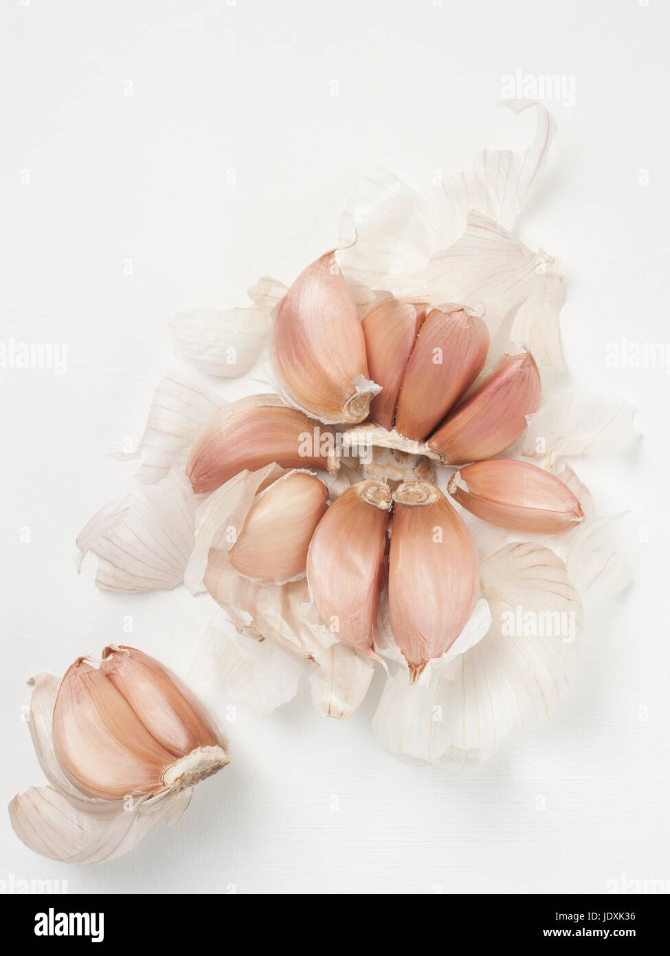 schöne Gewürze Gewürz Knoblauch Kräuter Droge auf weißem Holz Hintergrund Stockfoto