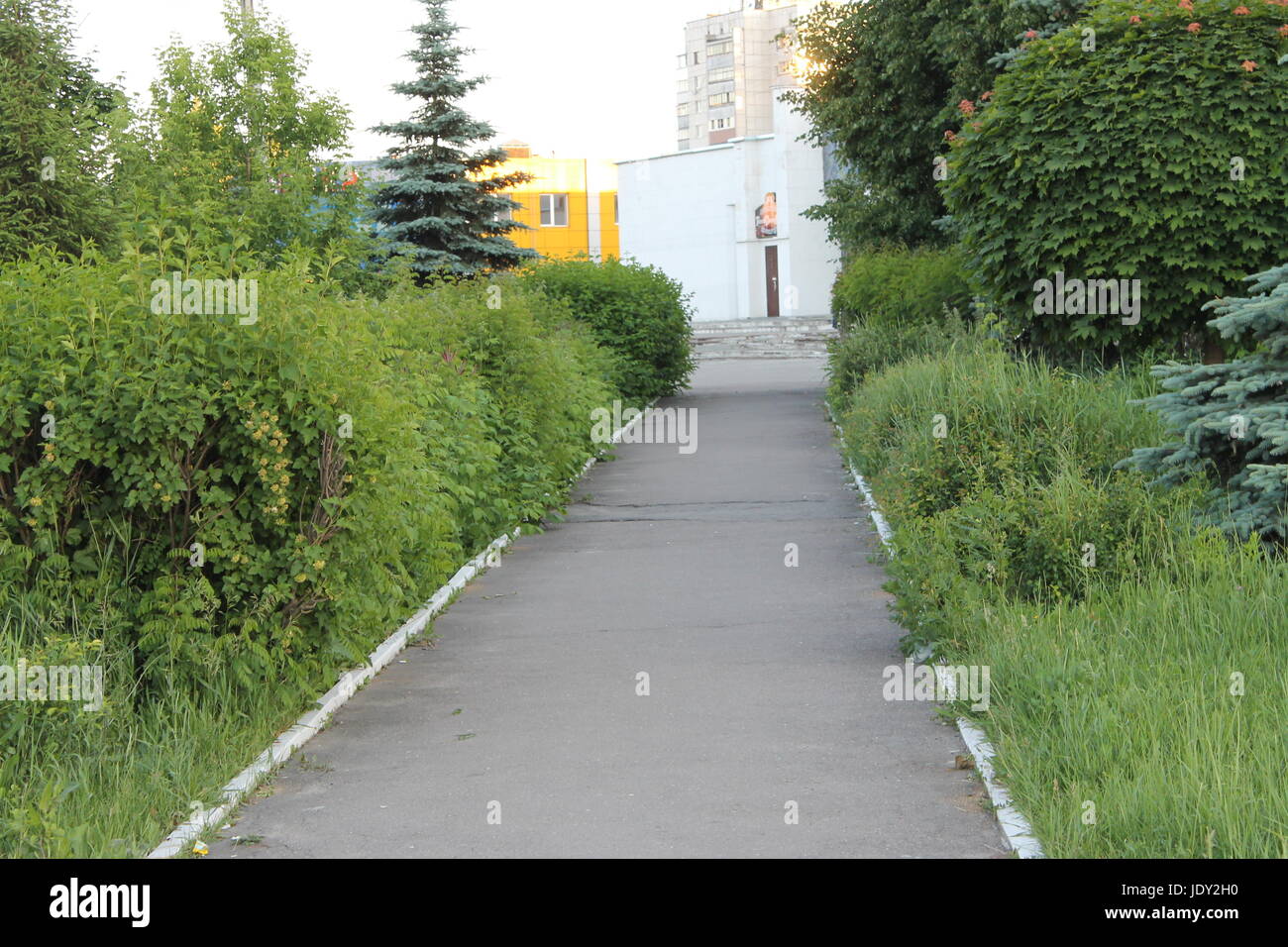 Von Bäumen gesäumten Eingang zum südlichen Plantagenhaus Oak Alley Stockfoto