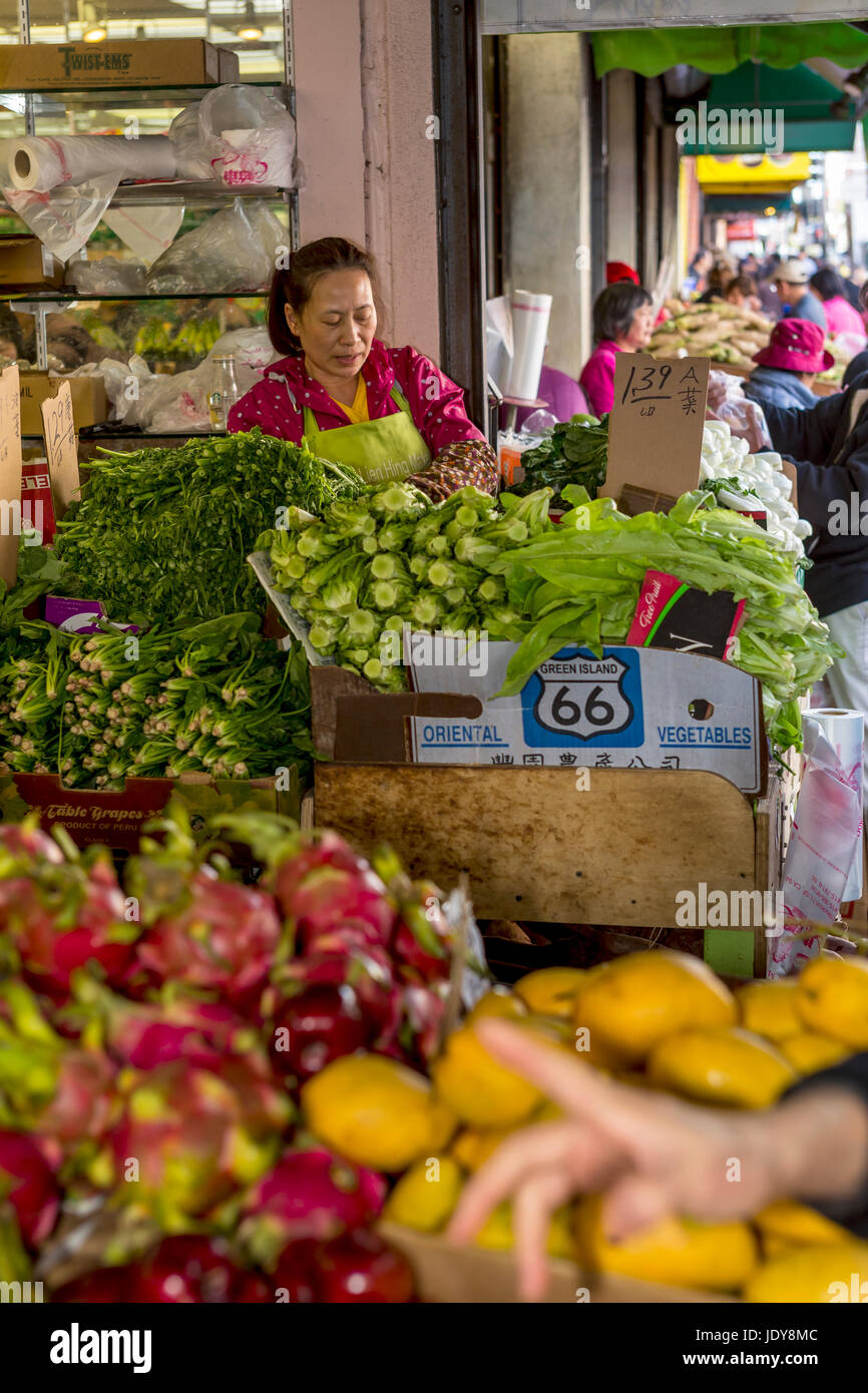 Chinesisch-amerikanische Frau, Frau, Angestellter, Arbeiter, am Arbeitsplatz, arbeiten, Obst und Gemüse Markt Stockton Street, Chinatown, San Francisco, Kalifornien Stockfoto