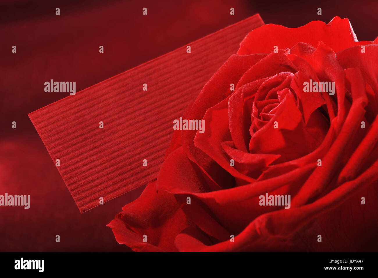 Liebe in Liebe Stockfoto