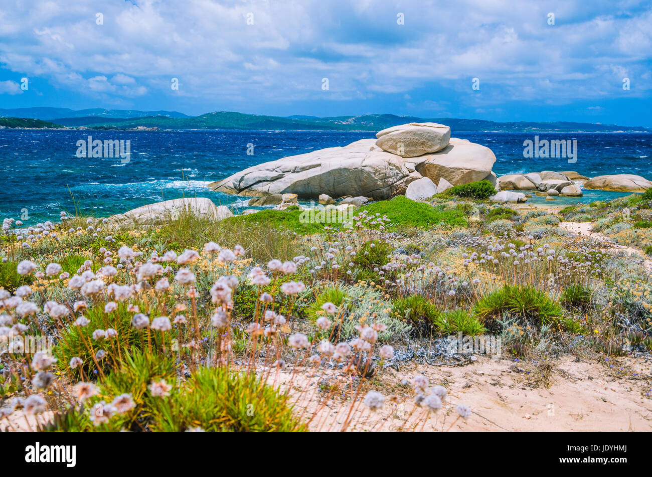 Windige Küstenabschnitten mit Sandsteinfelsen in der Nähe von Costa Serena, Sardinien, Italien Stockfoto