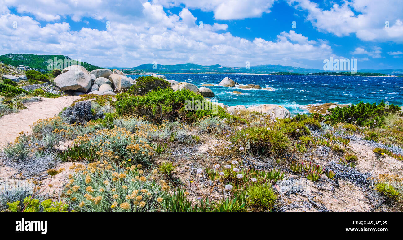 Wanderweg entlang Sandstein Rocksy Küstenlinie der Costa Serena, Sardinien, Italien Stockfoto
