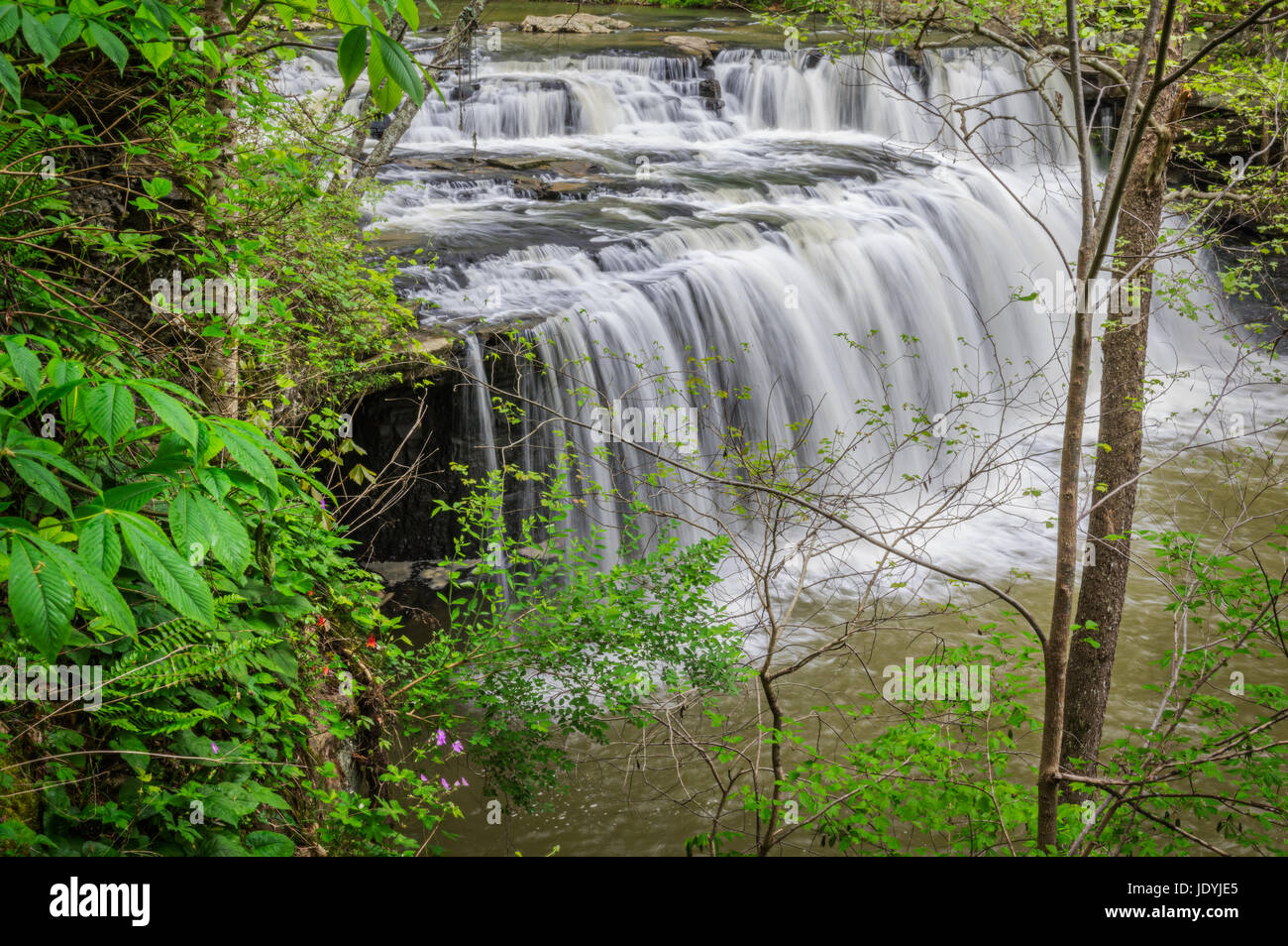 Brush Creek Falls in West Virginia durch das üppige Frühling grün gespickt mit bunten Wildblumen wie rote Akelei und lila Phlox aus gesehen. Stockfoto