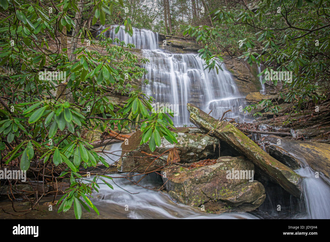 Versteckt vor der weit gereiste Route 16 in der Nähe von Hawks Nest West Virginia, liegt ein saisonale alcoved Wasserfall Honig Zweig, genannt in Rhododendr gekleidet Stockfoto