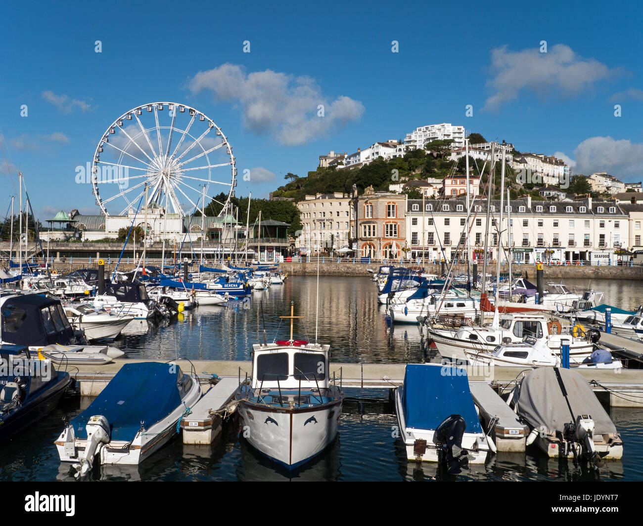 Die englische Riviera Resort von Torquay mit Riesenrad und attraktive Waterfront, Torquay, Torbay, Devon, England, Großbritannien Stockfoto