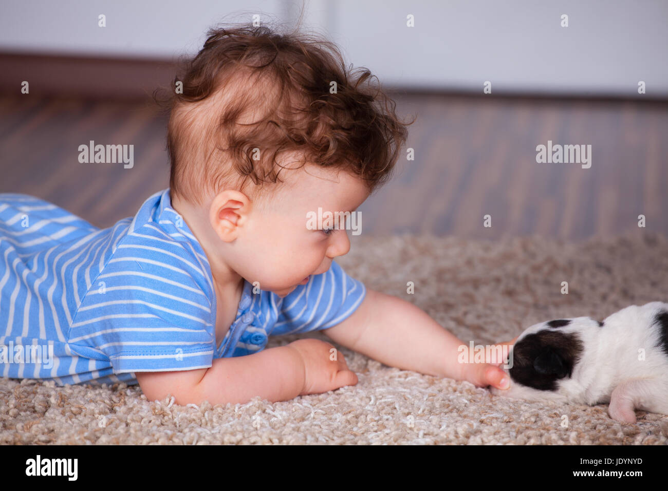 7 Monate alten Jungen mit neugeborenen Welpen zu spielen. Stockfoto