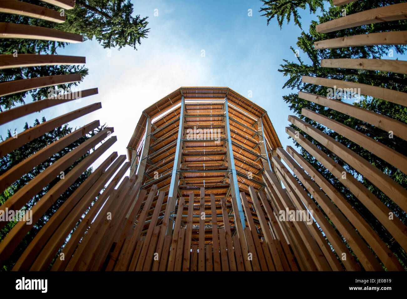 Treetop Walkway in Janske Lazne Riesengebirge (Riesengebirge), Tschechische Republik am 22. Juni 2017. Gehweg wird am 2. Juli geöffnet sein, ist 1300 Meter lang, die Lookout ist 45 Meter hoch. (CTK Foto/David Tanecek) Stockfoto