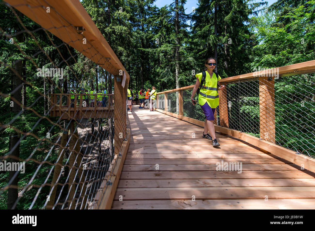 Treetop Walkway in Janske Lazne Riesengebirge (Riesengebirge), Tschechische Republik am 22. Juni 2017. Gehweg wird am 2. Juli geöffnet sein, ist 1300 Meter lang, die Lookout ist 45 Meter hoch. (CTK Foto/David Tanecek) Stockfoto