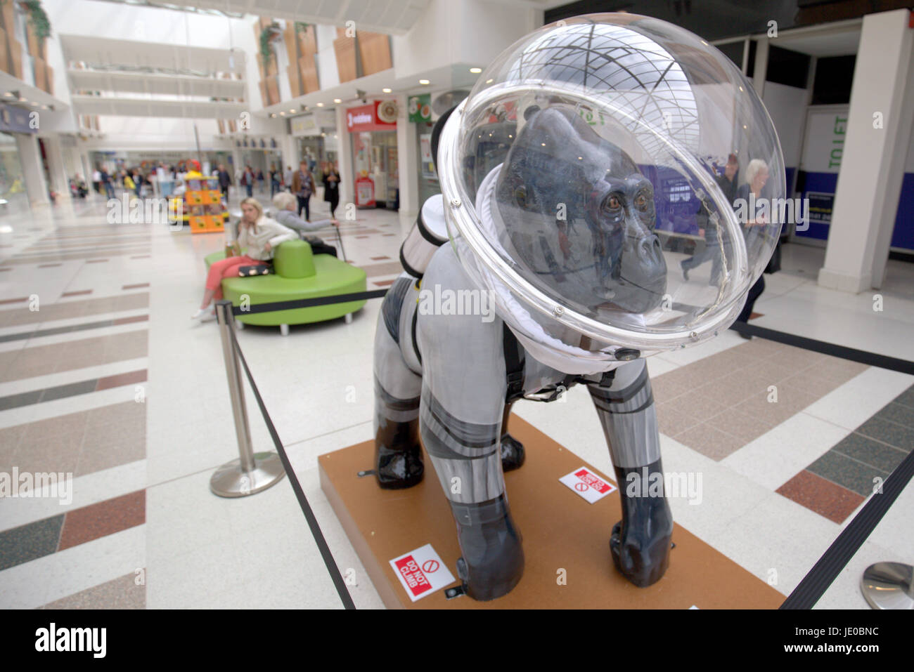 Hamilton, Schottland. 22. Juni. Der große Ansturm, Kunst und Wildtiere in Hamilton.A "Wild in der Kunst" Ereignis, das lokale Kunst und Unternehmen sieht kommen zusammen, um bunte Skulpturen für den Sommer, die verstreut in der Stadt auf einer Spur und Entdeckung Karte frei von das Informationszentrum zu produzieren. Während viele lokale Künstler, Unternehmen und Tiere zur Verfügung, die Tunnock Schaumküsse Giraffe zieht viel Staatsinteresse, offiziellen Start von Freitag, den 23. Juni. Credit Gerard Fähre/Alamy Nachrichten Stockfoto