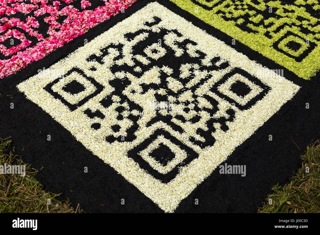 La Orotava, Teneriffa, 22. Juni 2017. Jährlichen Corpus Christi feiern, wenn die Menschen vor Ort Teppiche aus Blüten, Samen und Sand in die Straßen und Plätze von La Orotava machen. Viele der Teppiche zeigen Szenen aus dem Leben Christi und die wichtigsten Sand Teppich auf dem Rathaus-Platz in diesem Jahr zeigt der Papst mit einem alten Bauern Dame neben Christus, Mose, Gott und eine weiße Taube in der zentralen Bild. Bildnachweis: Phil Crean A/Alamy Live-Nachrichten Stockfoto