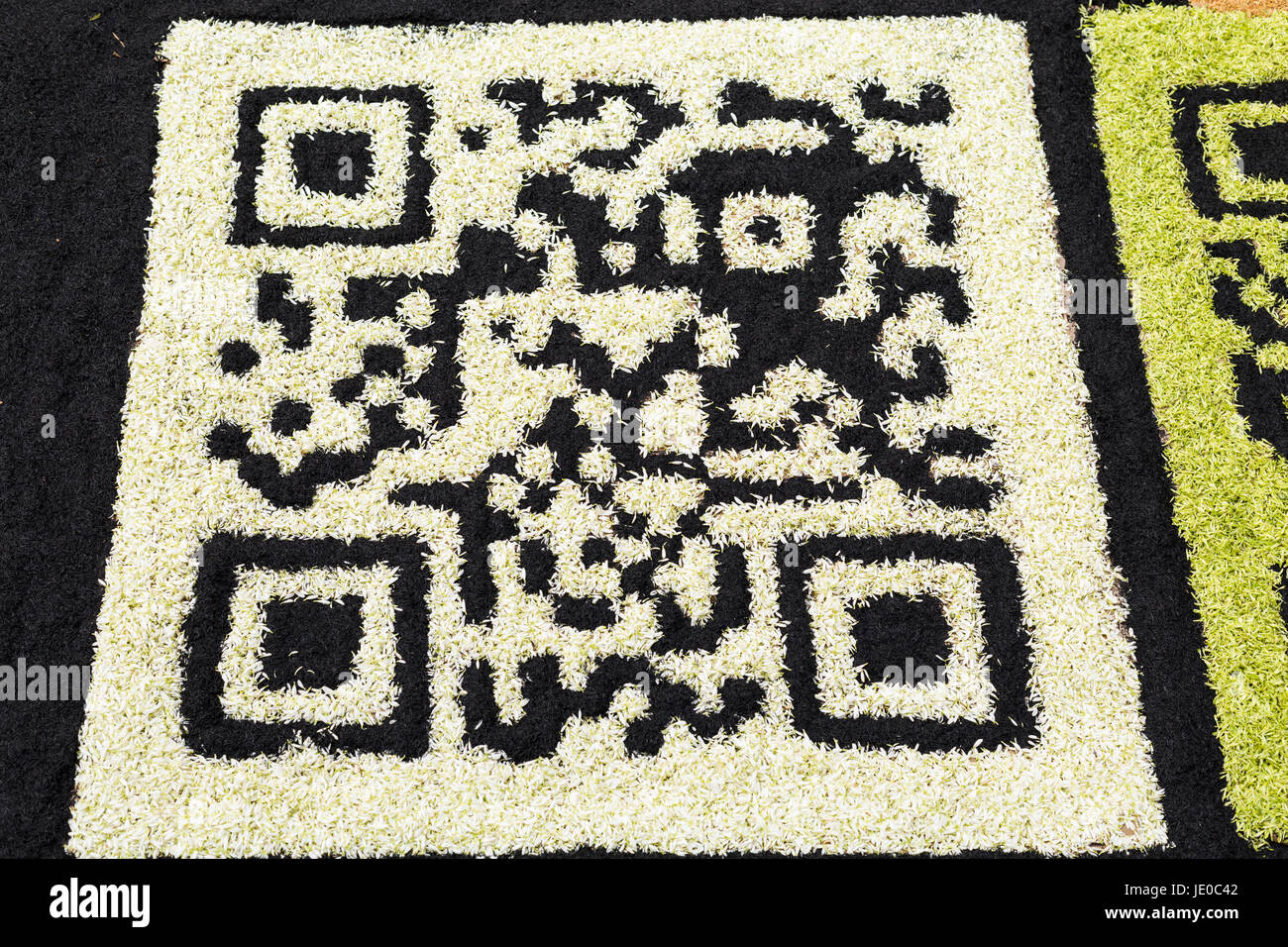 La Orotava, Teneriffa, 22. Juni 2017. Jährlichen Corpus Christi feiern, wenn die Menschen vor Ort Teppiche aus Blüten, Samen und Sand in die Straßen und Plätze von La Orotava machen. Viele der Teppiche zeigen Szenen aus dem Leben Christi und die wichtigsten Sand Teppich auf dem Rathaus-Platz in diesem Jahr zeigt der Papst mit einem alten Bauern Dame neben Christus, Mose, Gott und eine weiße Taube in der zentralen Bild. Bildnachweis: Phil Crean A/Alamy Live-Nachrichten Stockfoto