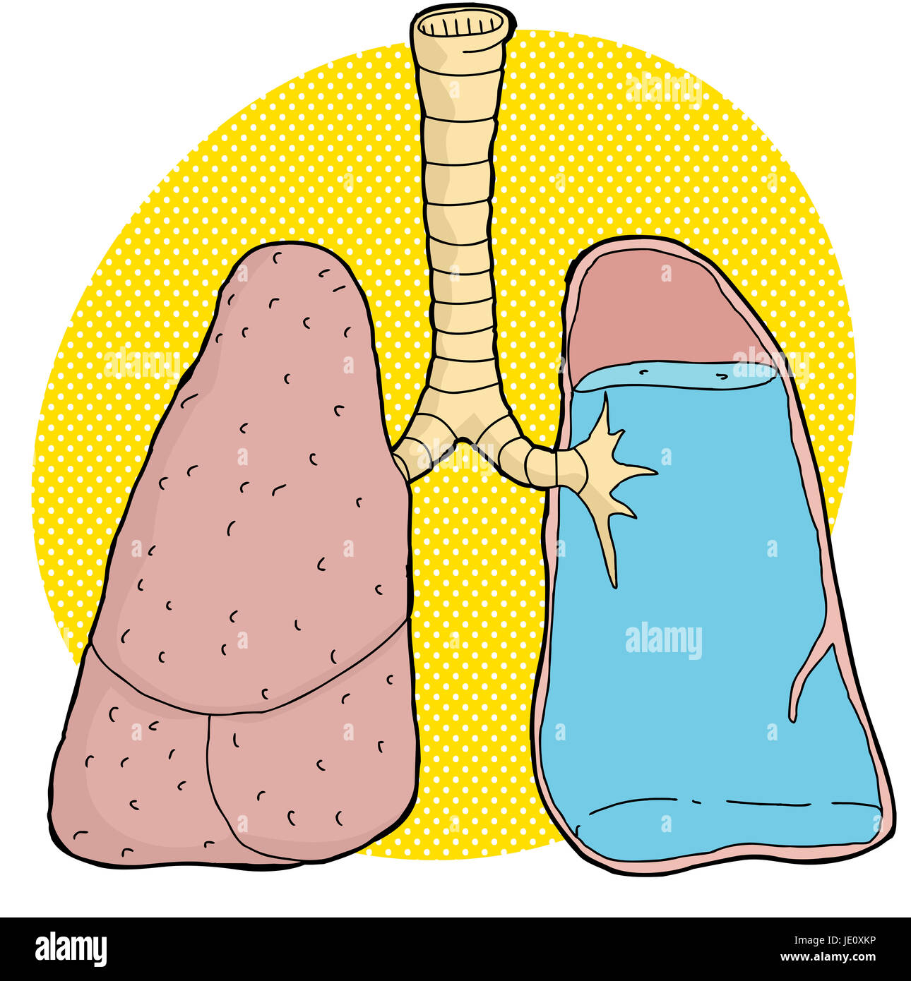 Lungen mit Wasser innen auf gelbem Hintergrund Stockfoto