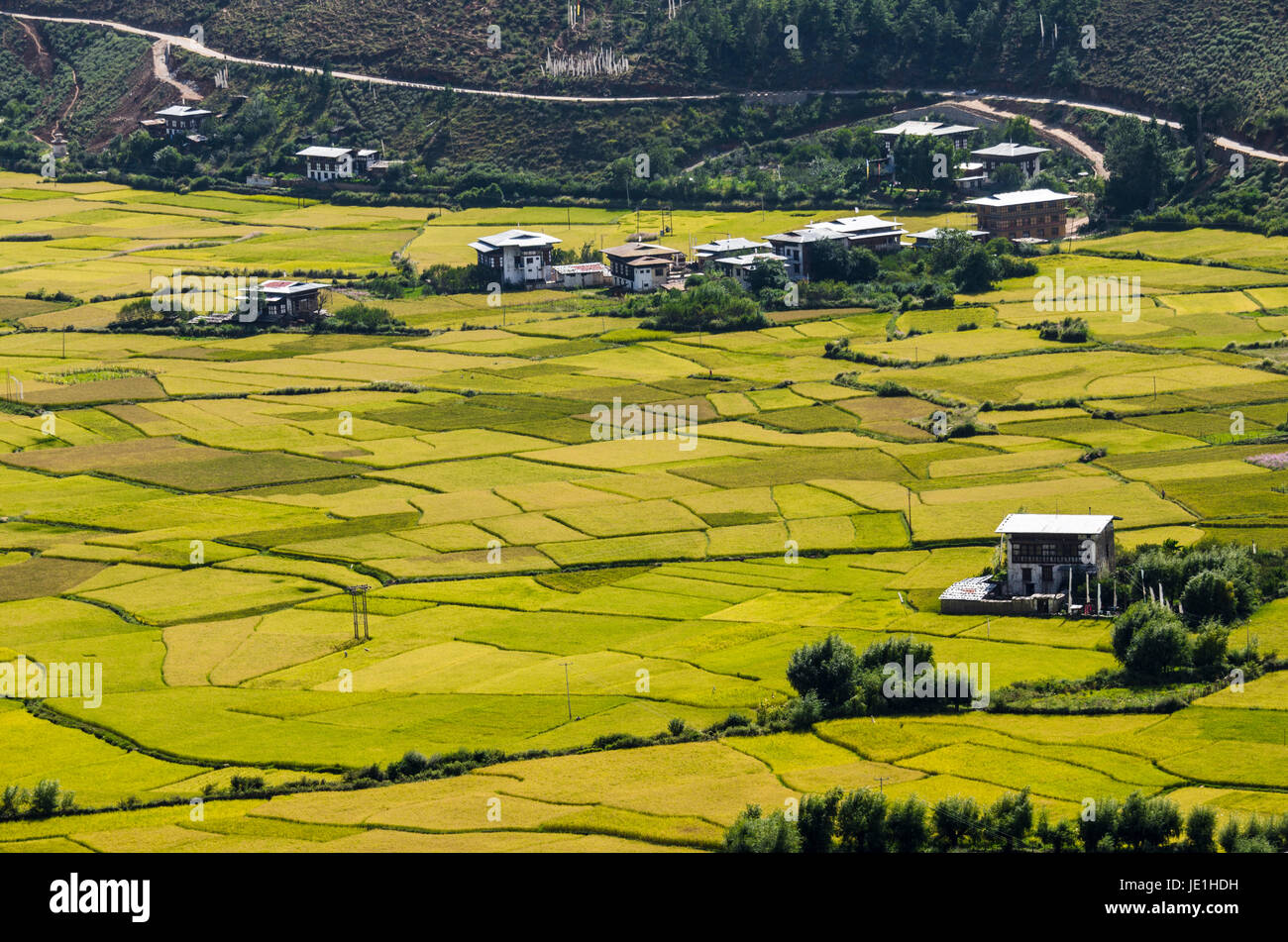 Kreative Muster und Texturen der Reisfelder in Himalaya-region Stockfoto