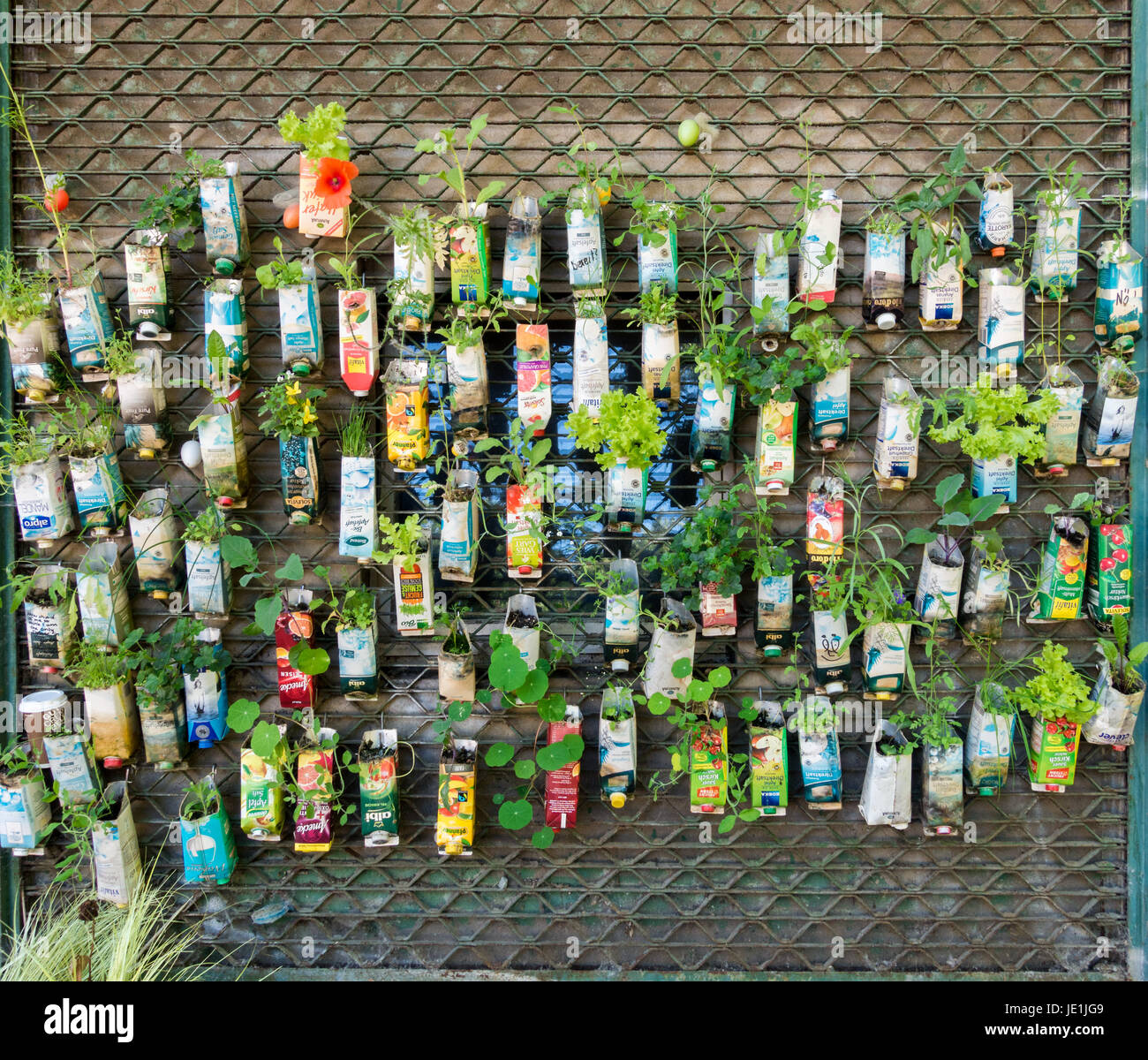 Berlin, Deutschland - Juni 2, 2017: alte Getränkekartons als blumentöpfe verwendet. Urban guerilla gardening Hintergrund in Berlin City. Stockfoto