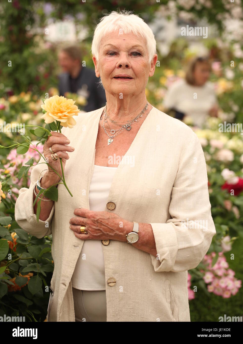 RHS Chelsea Flower Show 2017 - Pressetag mit: Dame Judy Dench Where: London, Vereinigtes Königreich bei: Kredit-22. Mai 2017: Lia Toby/WENN.com Stockfoto