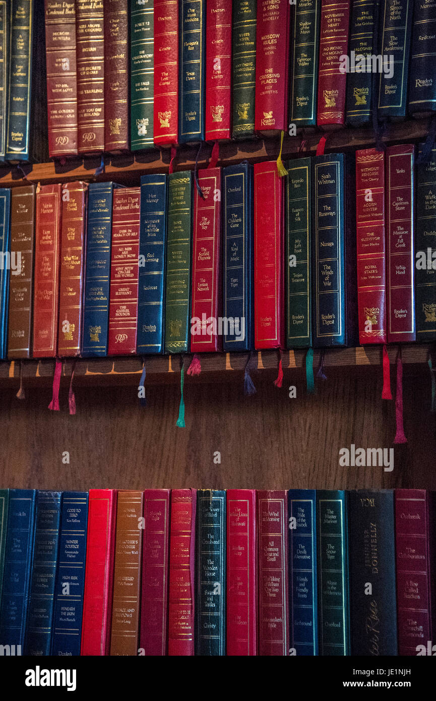 Bunte - sorgfältige Anordnung der Bücher auf einem Bücherregal. Stockfoto