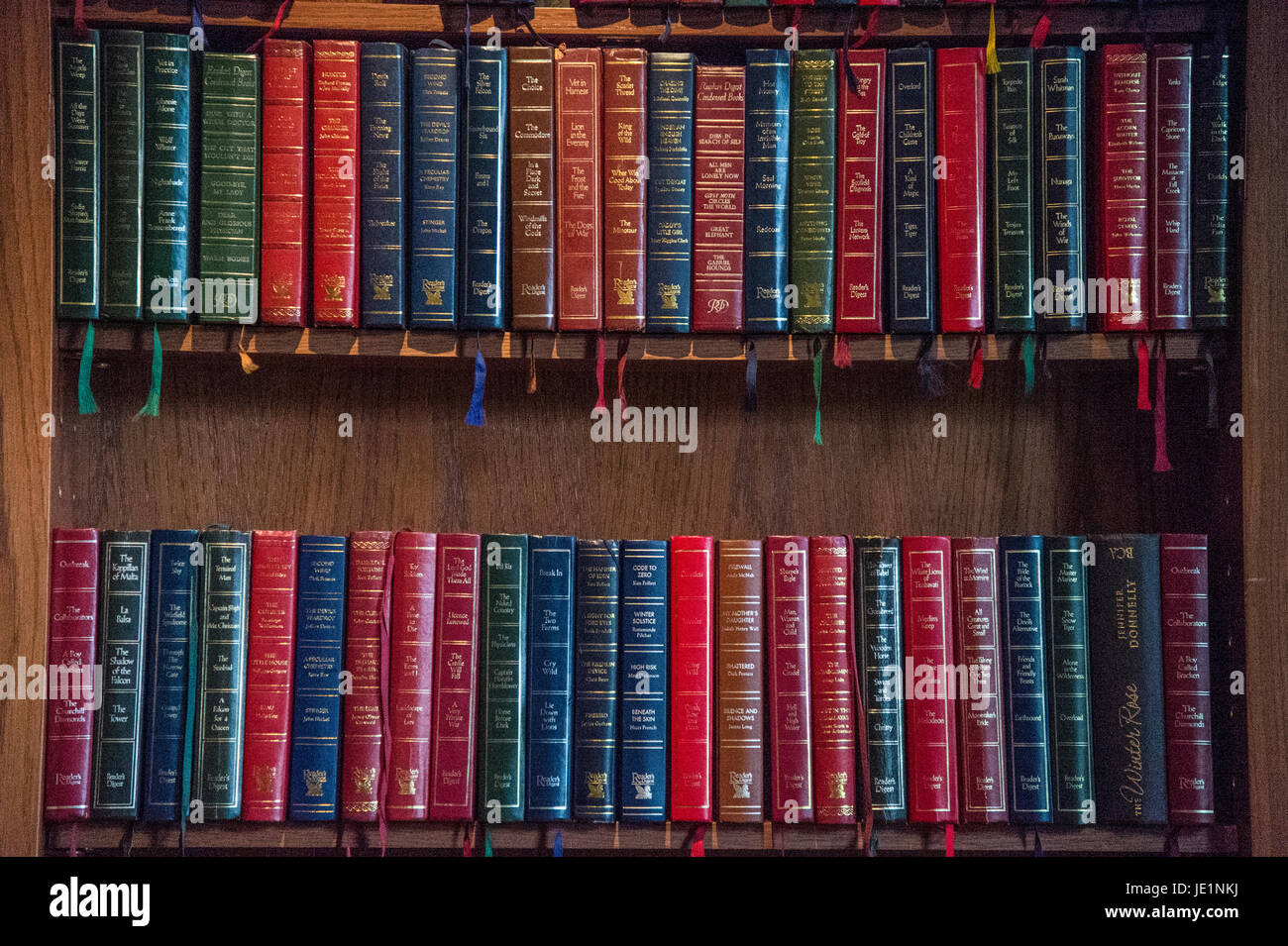 Bunte - sorgfältige Anordnung der Bücher auf einem Bücherregal. Stockfoto