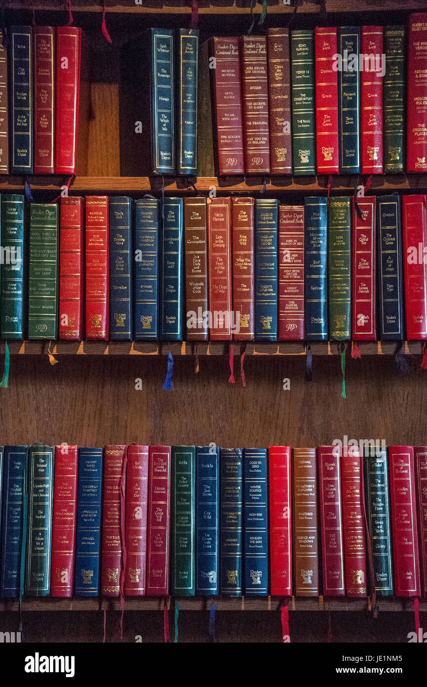 Bunte - sorgfältige Anordnung der Bücher auf einem Bücherregal. Stockfoto