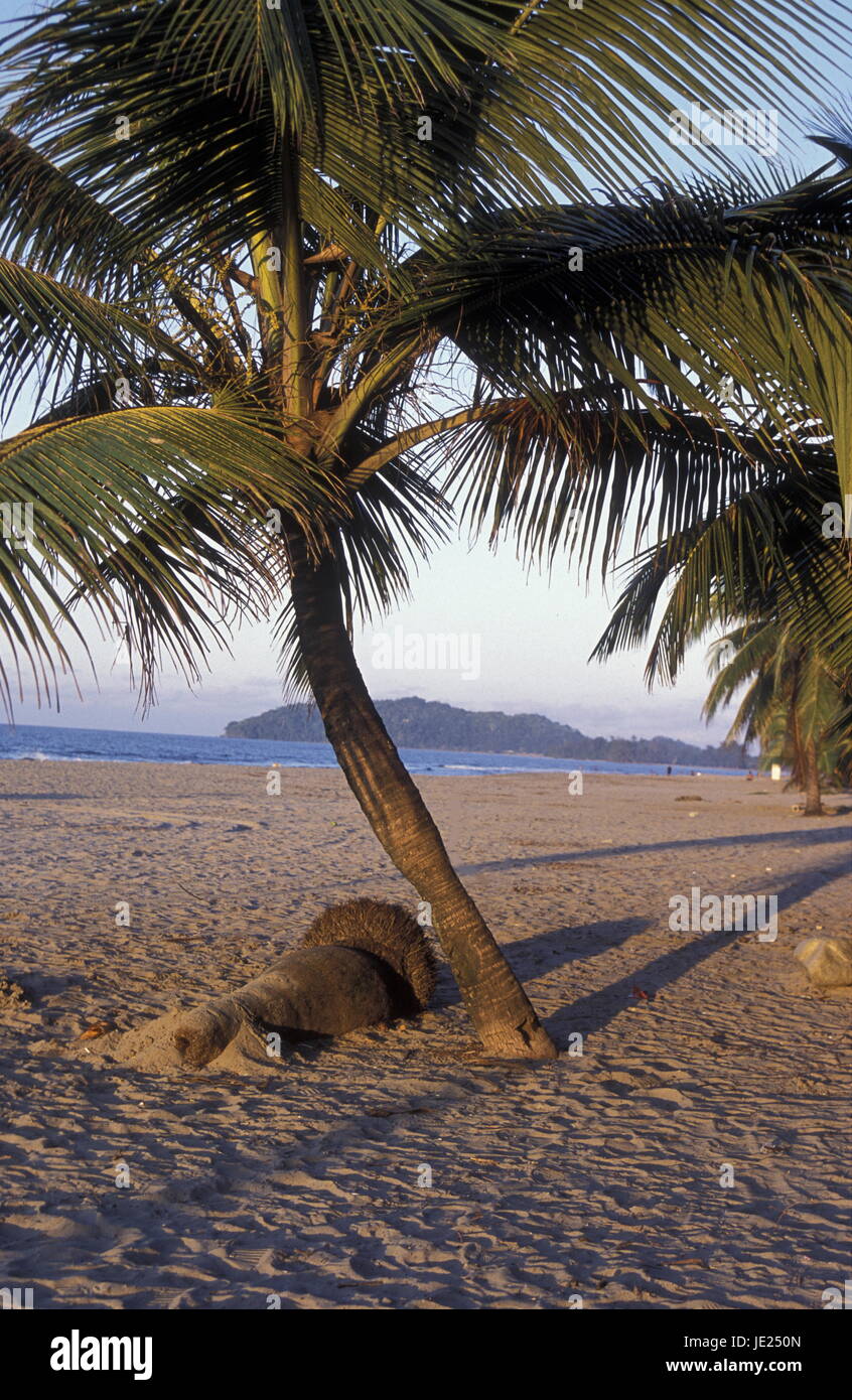 der Strand von Tela in der Nähe von San Pedro Sula am Meer sowie in Honduras in Mittelamerika Stockfoto