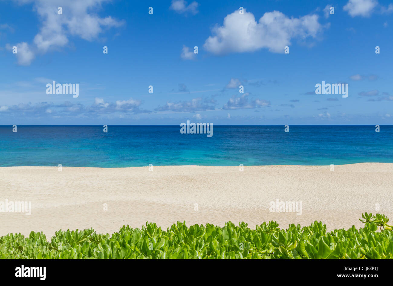 Hawaiian Island Strand Stockfoto